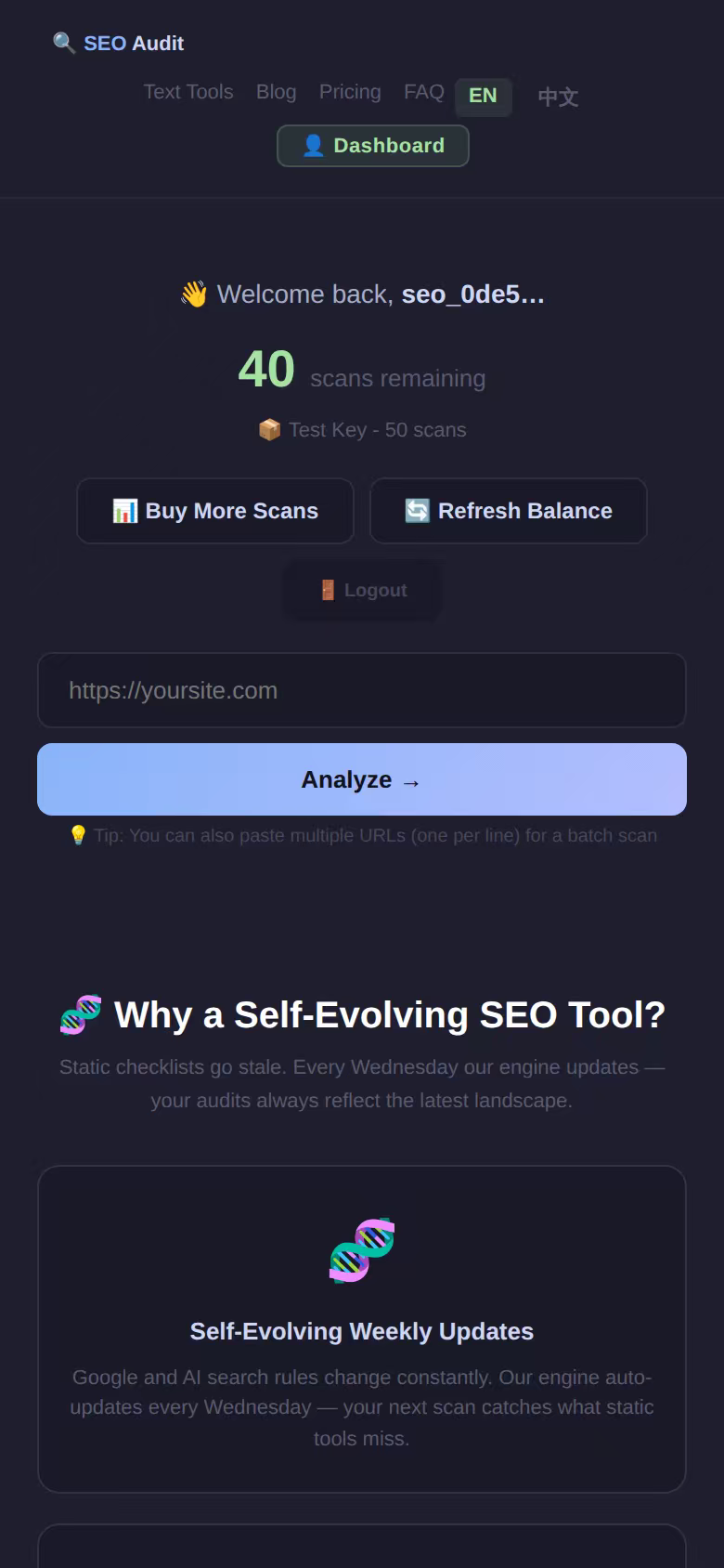  textools SEO Audit gallery image