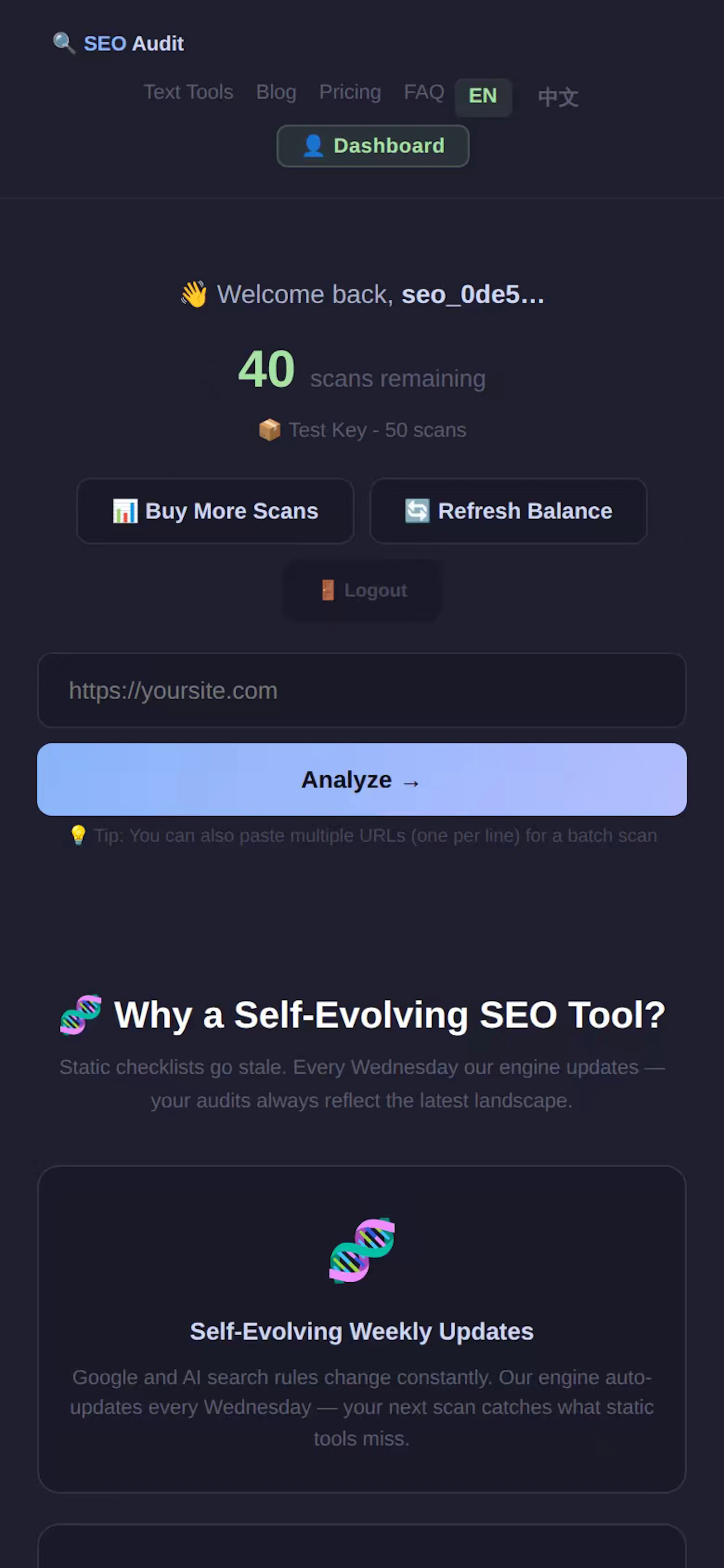  textools SEO Audit screenshot 4