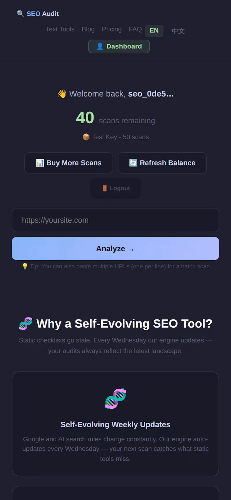  textools SEO Audit screenshot 4