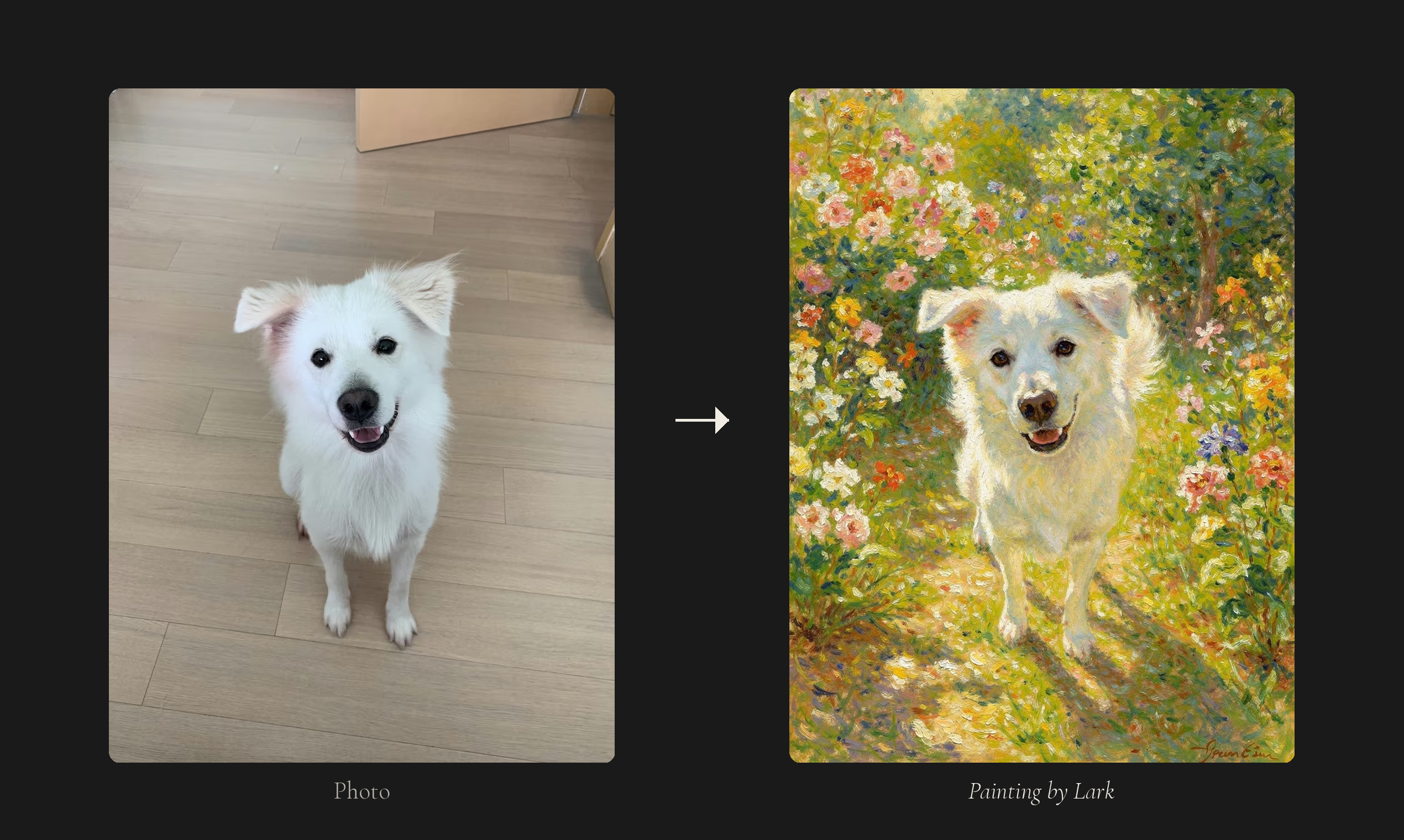 Lark - Screenshot 4 showing product features and functionality