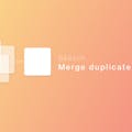 Merge Duplicate Symbols