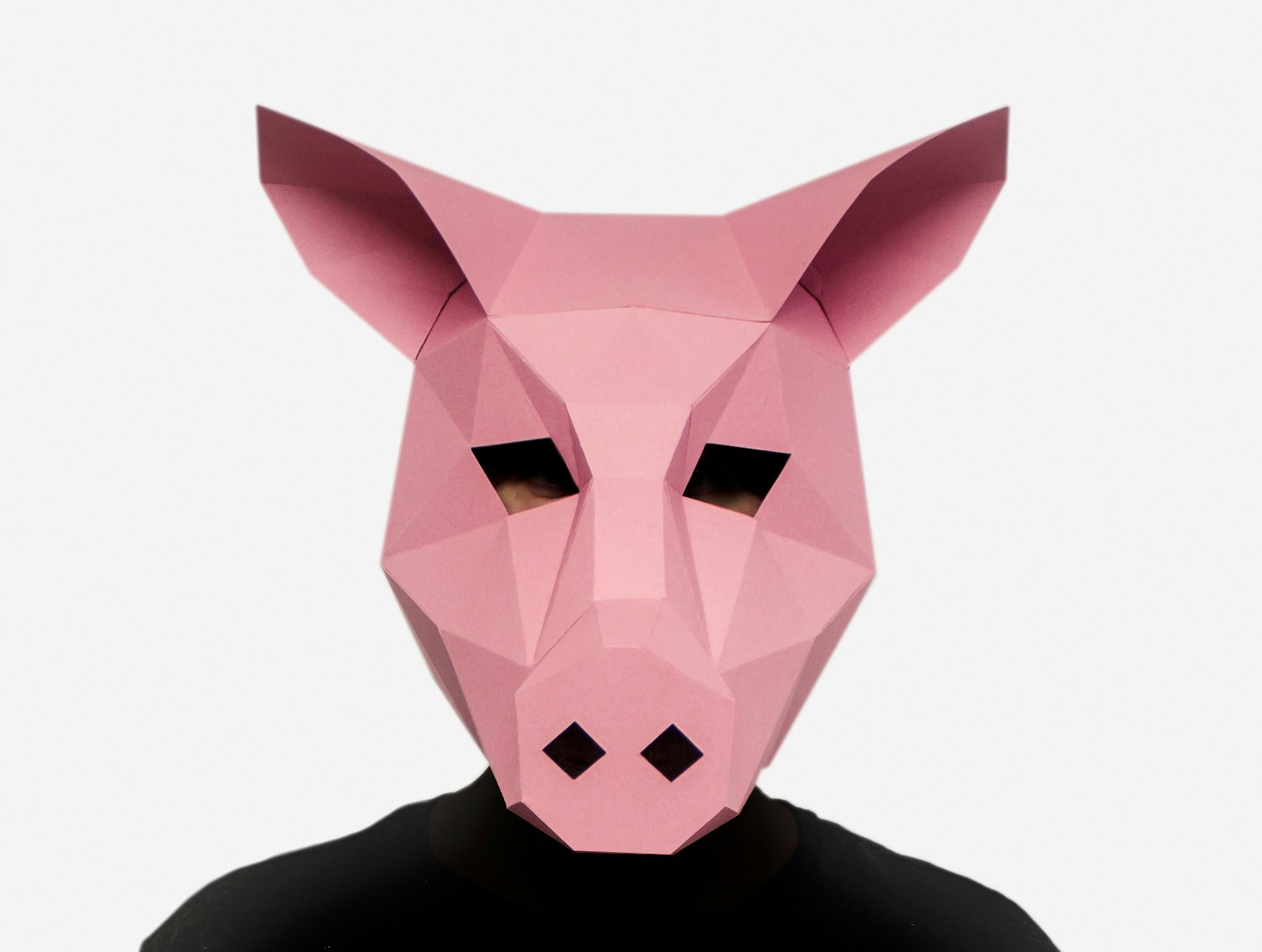 Lapa Studios gallery image