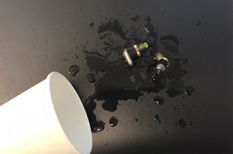 SoundFlux Earbuds gallery image