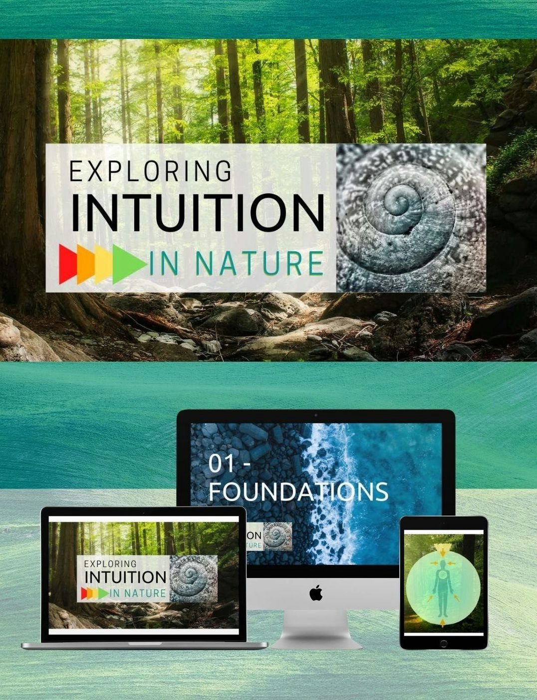 Exploring Intuition In Nature gallery image