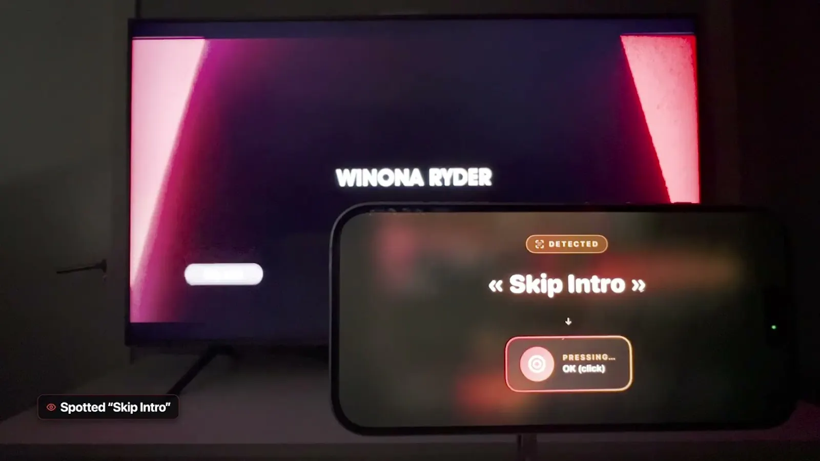 LazyBinger screenshot 1 (video preview)