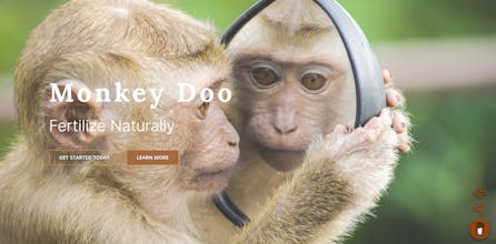 Legit Startups gallery image