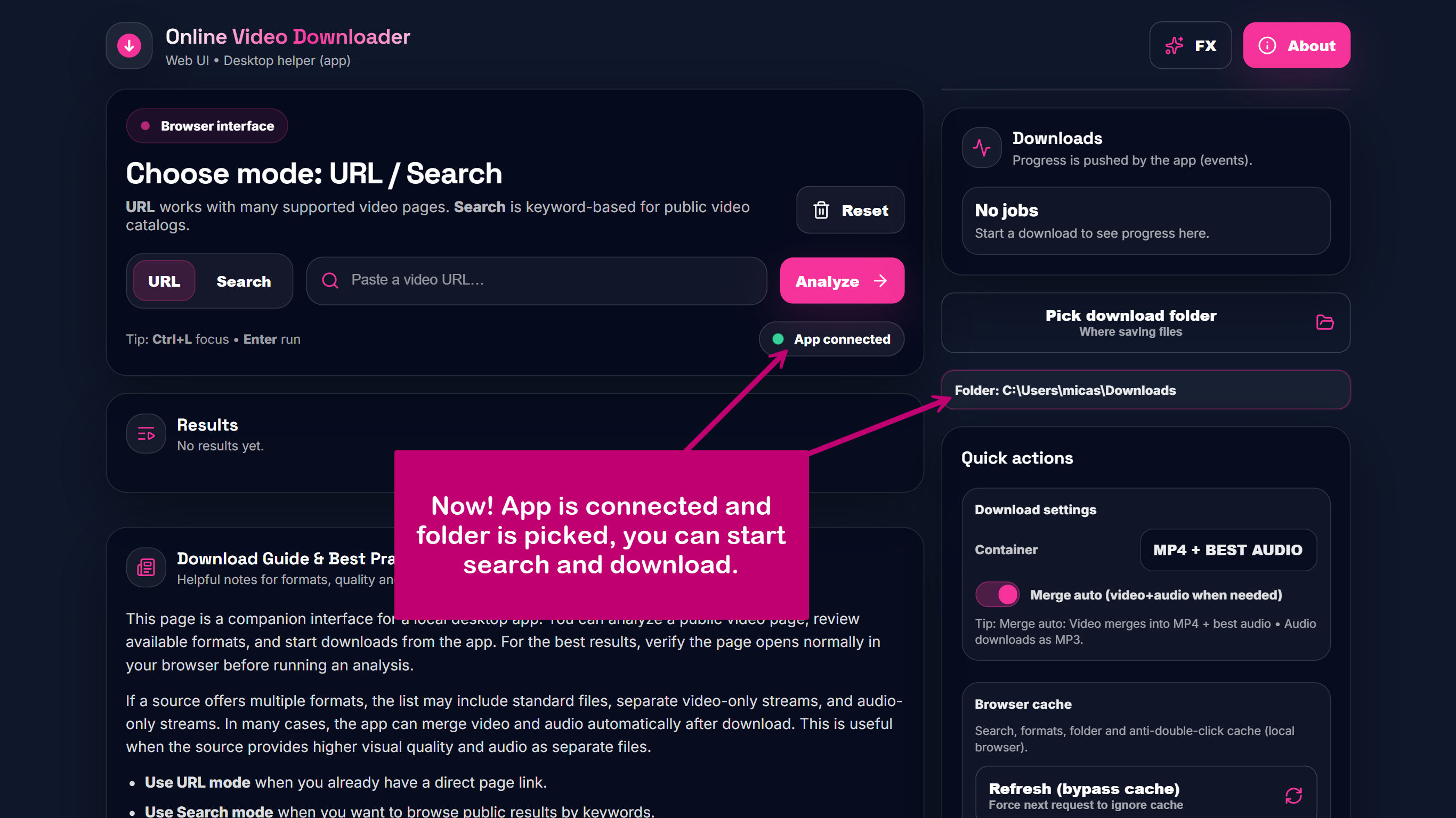 Online Video Downloader gallery image