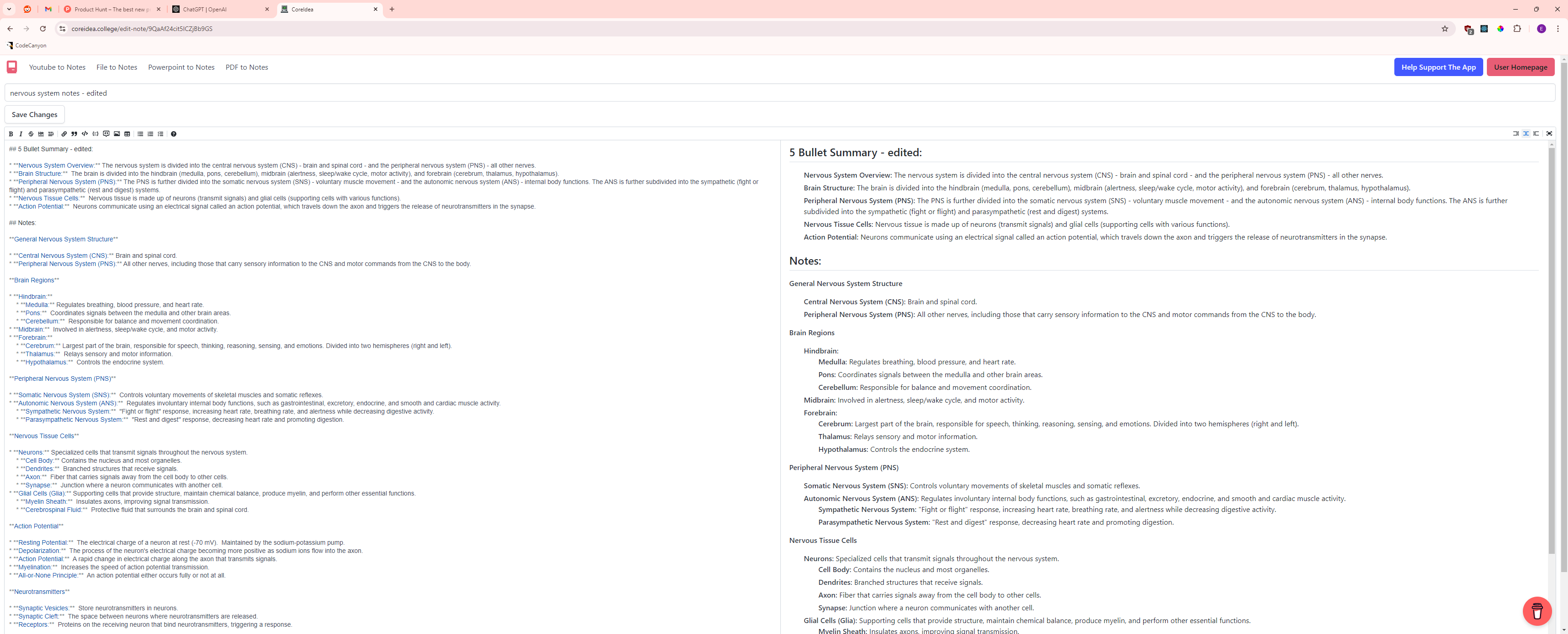 [verkauft] Coreidea media 4