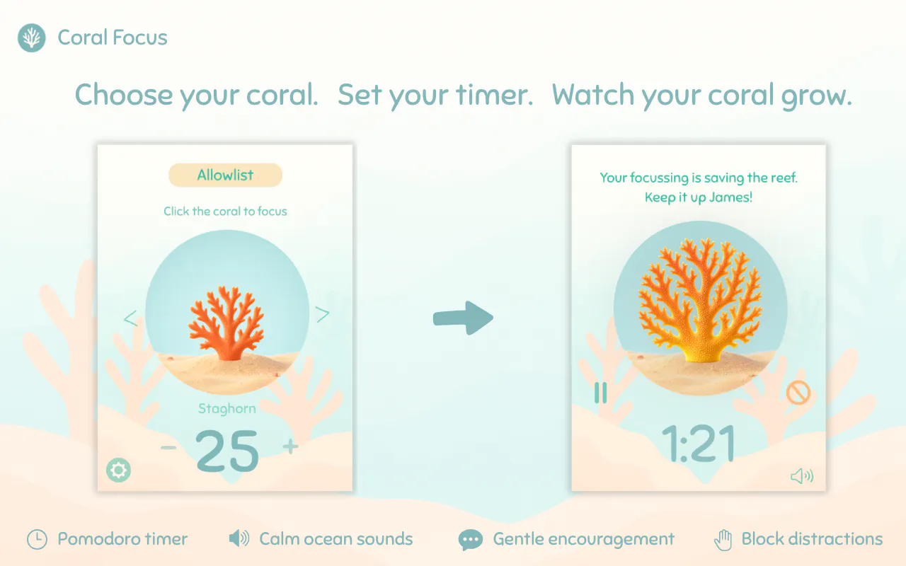 Coral Focus gallery image