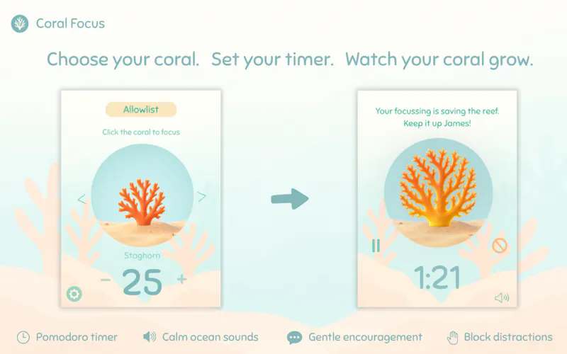 Coral Focus screenshot 1