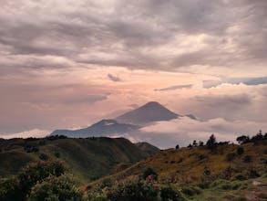 Travel Pro Guides gallery image