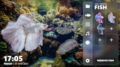 Betta Fish - Virtual Aquarium gallery image