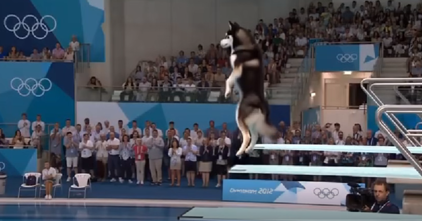 AI Dog Olympics Generator media 1