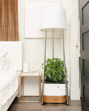 Annaboto gallery image