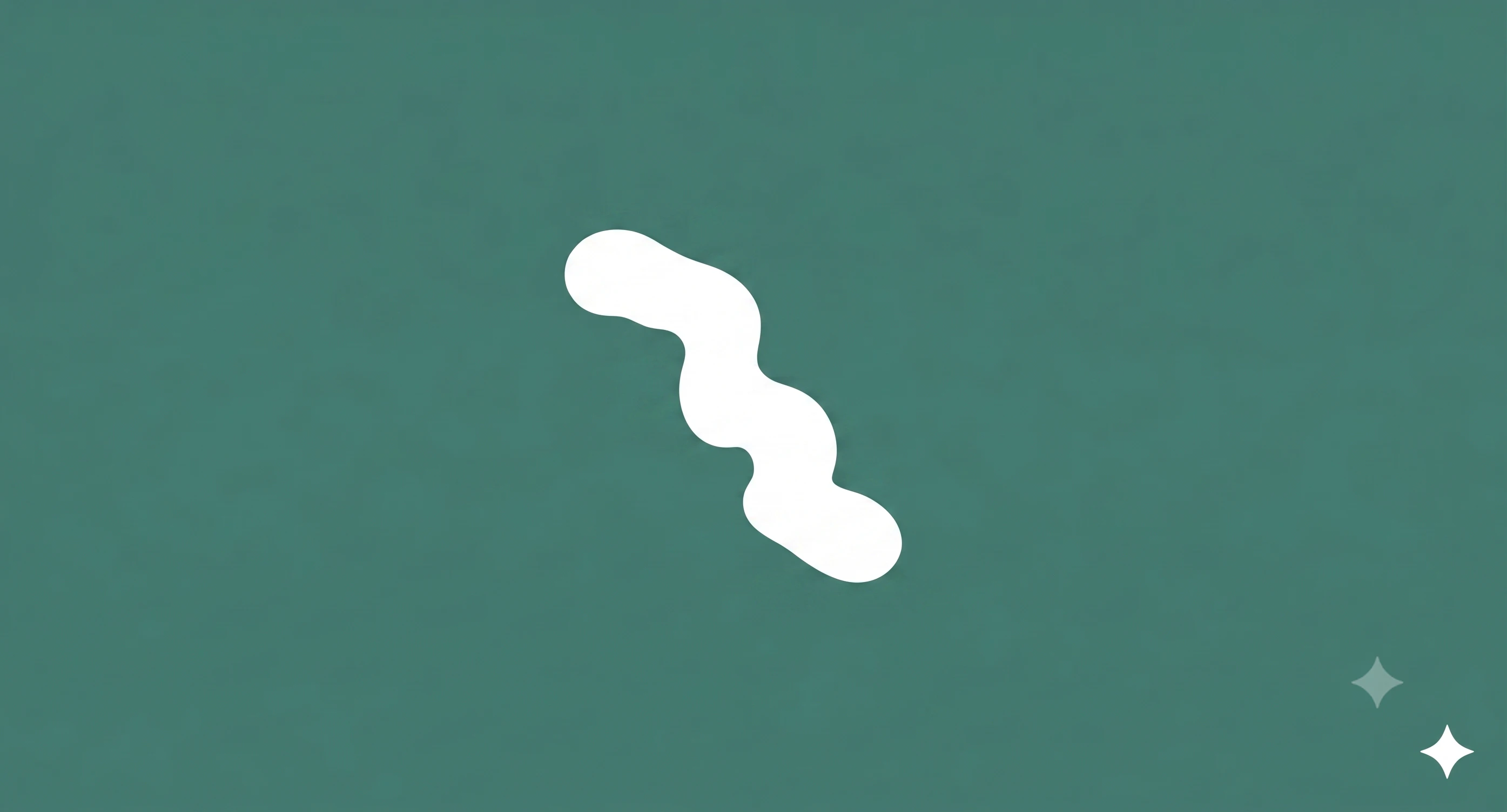 Rudi logo