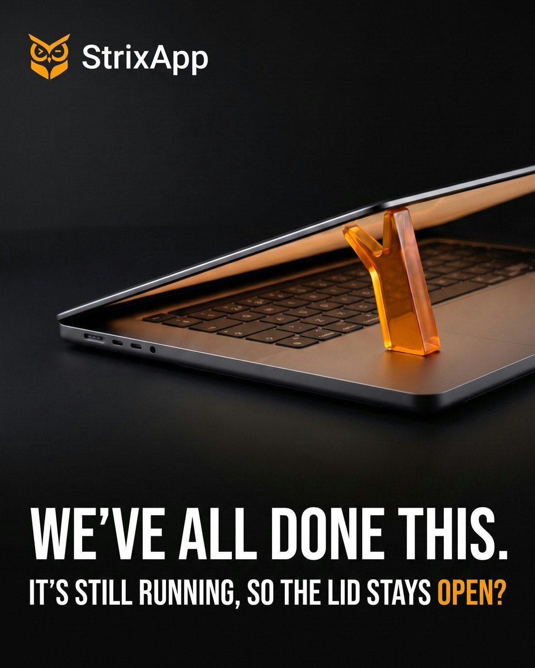 StrixApp gallery image