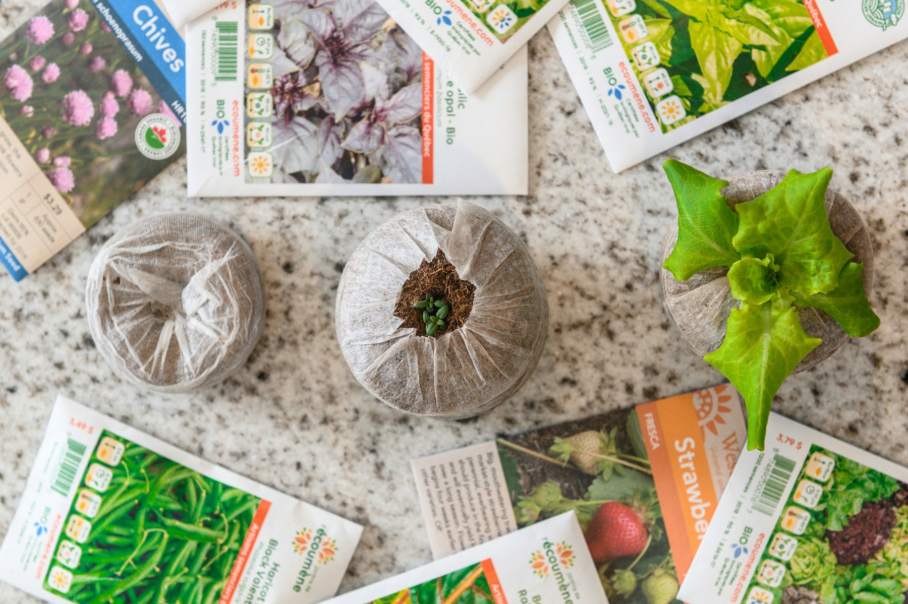 OGarden Smart gallery image