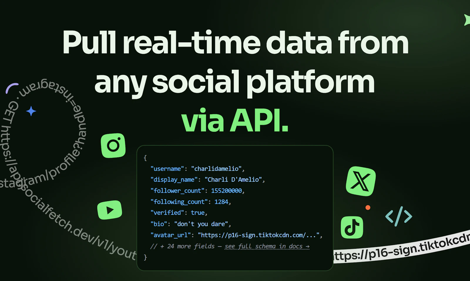 Social Fetch screenshot 1