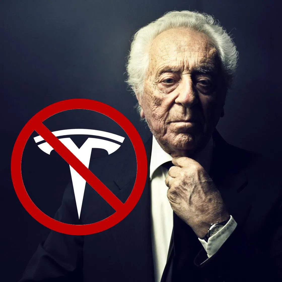 Stop Tesla! ⛔️🚗