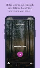 Woodpecker gallery image