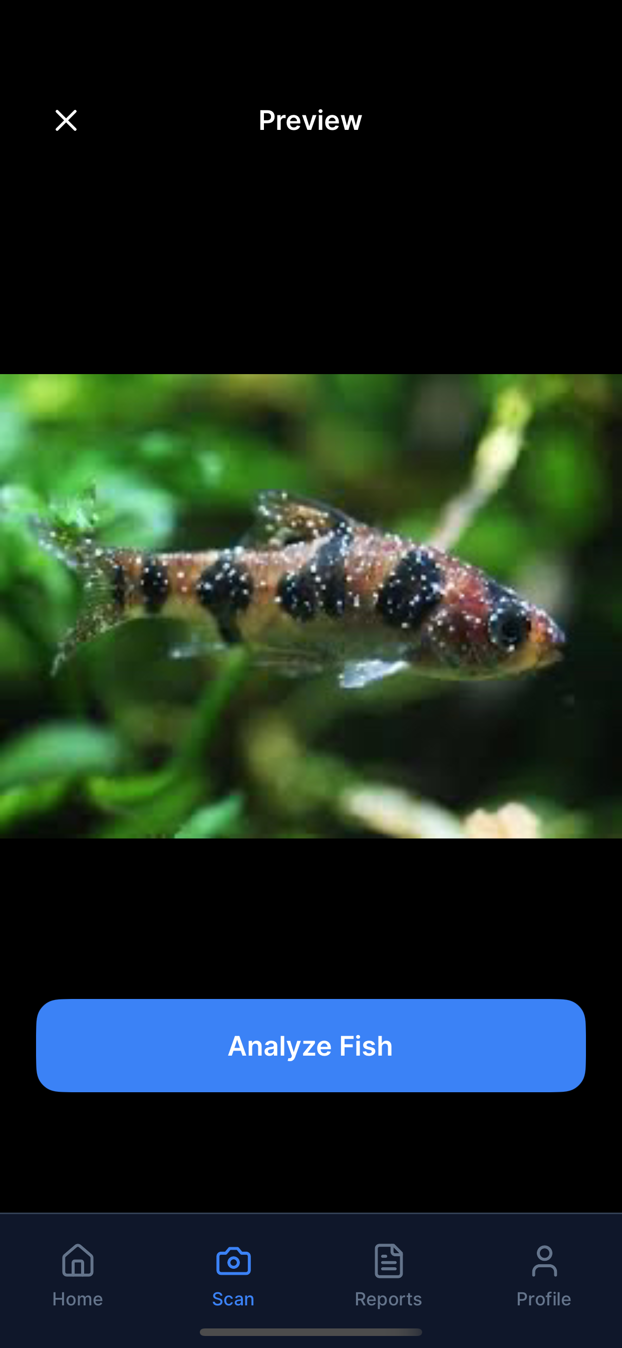 FishBuddyAI gallery image