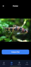 FishBuddyAI gallery image
