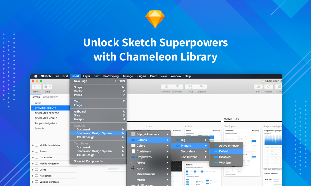 Chameleon Design System gallery image
