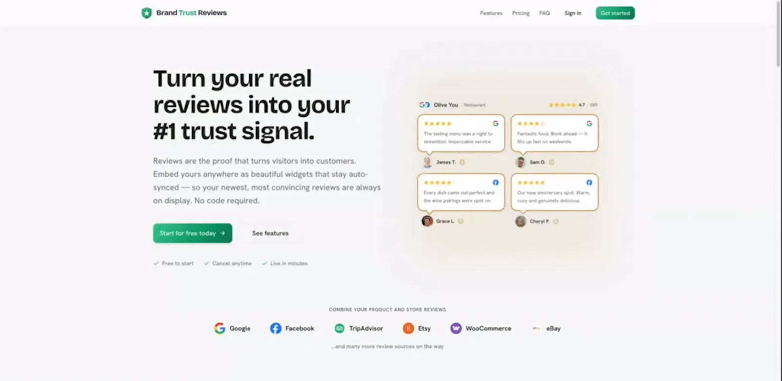 Brand Trust Reviews screenshot 1 (video preview)