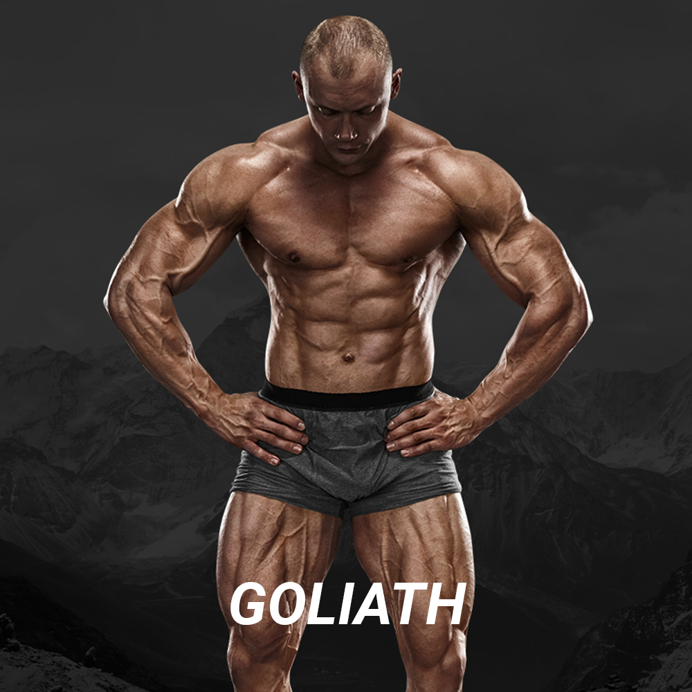 Shredify gallery image