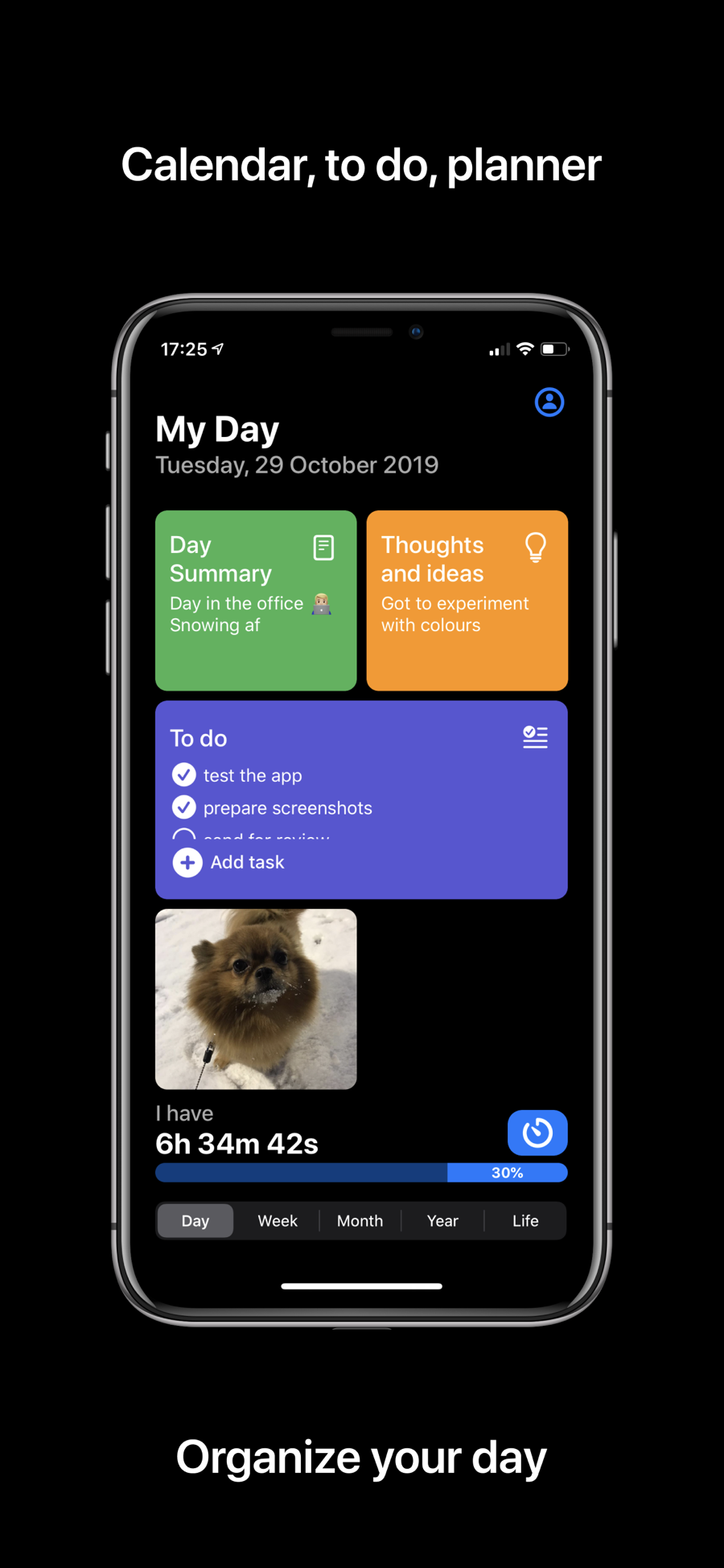 LifeViewer gallery image