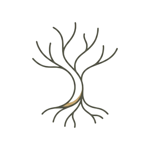 Roots - Philosophy Lessons for Everyday