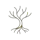 Roots