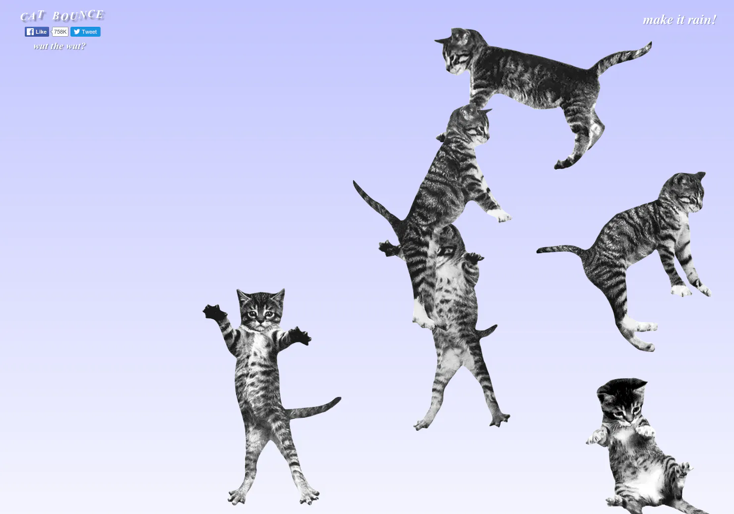 CAT BOUNCE!