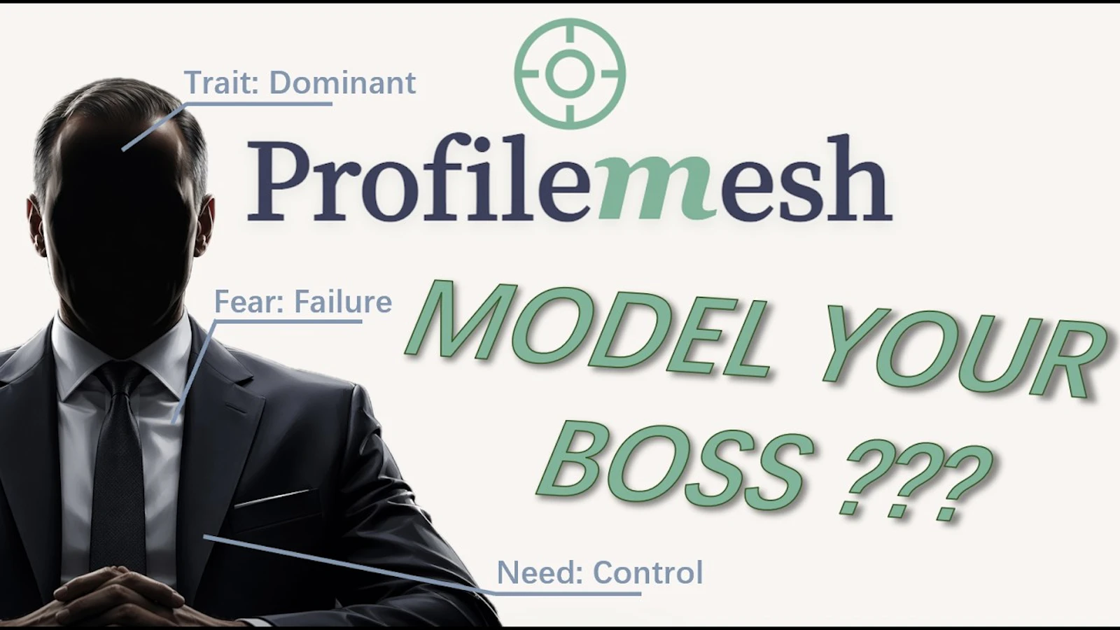 Profilemesh screenshot 1 (video preview)