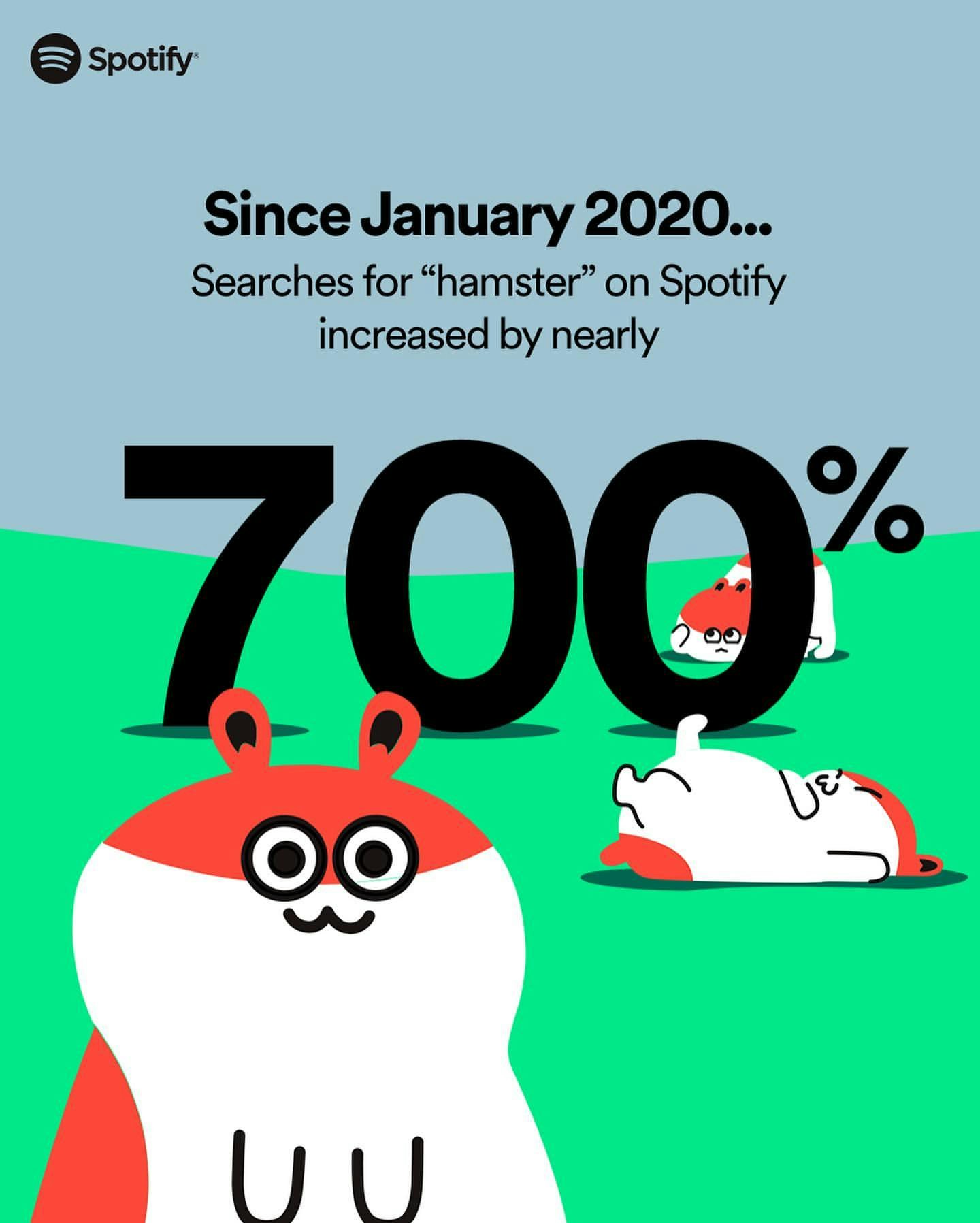 Pet Playlists by Spotify gallery image