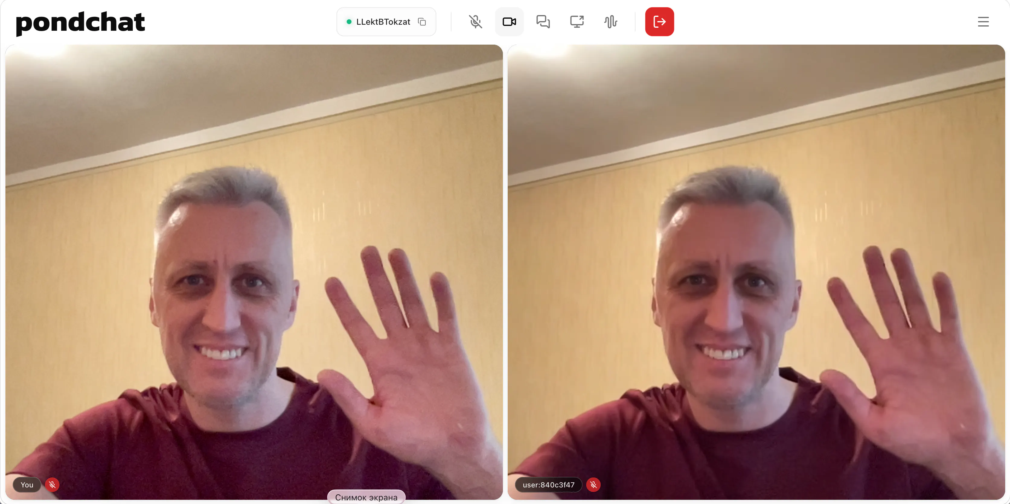 Pondchat — a quiet P2P video pond gallery image