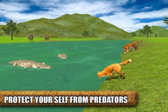 Mas3dStudio gallery image