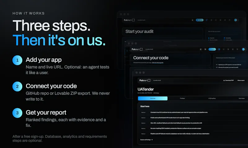 Fulcrum Lovable Audit screenshot 3