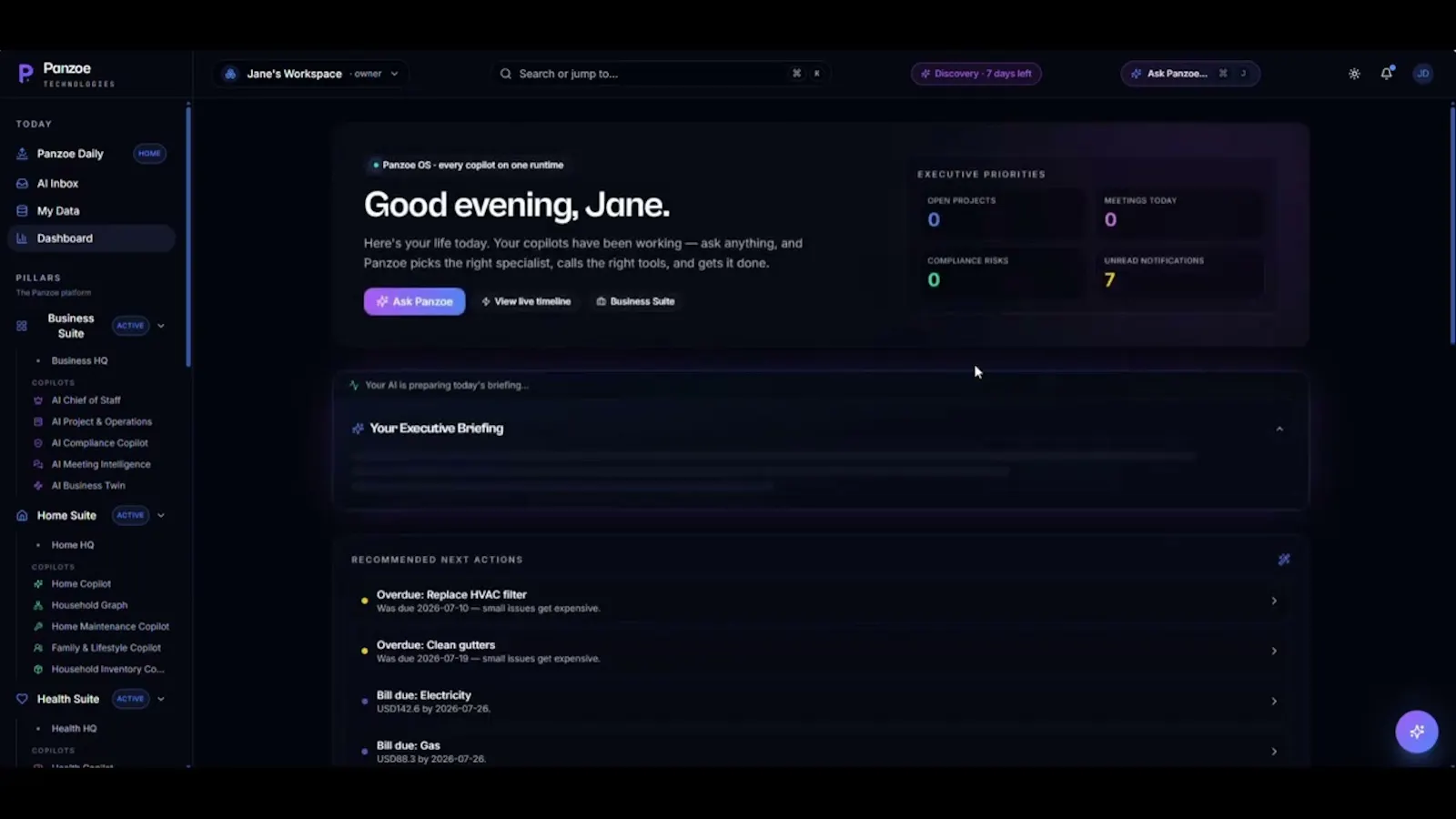 Panzoe Technologies screenshot 1 (video preview)