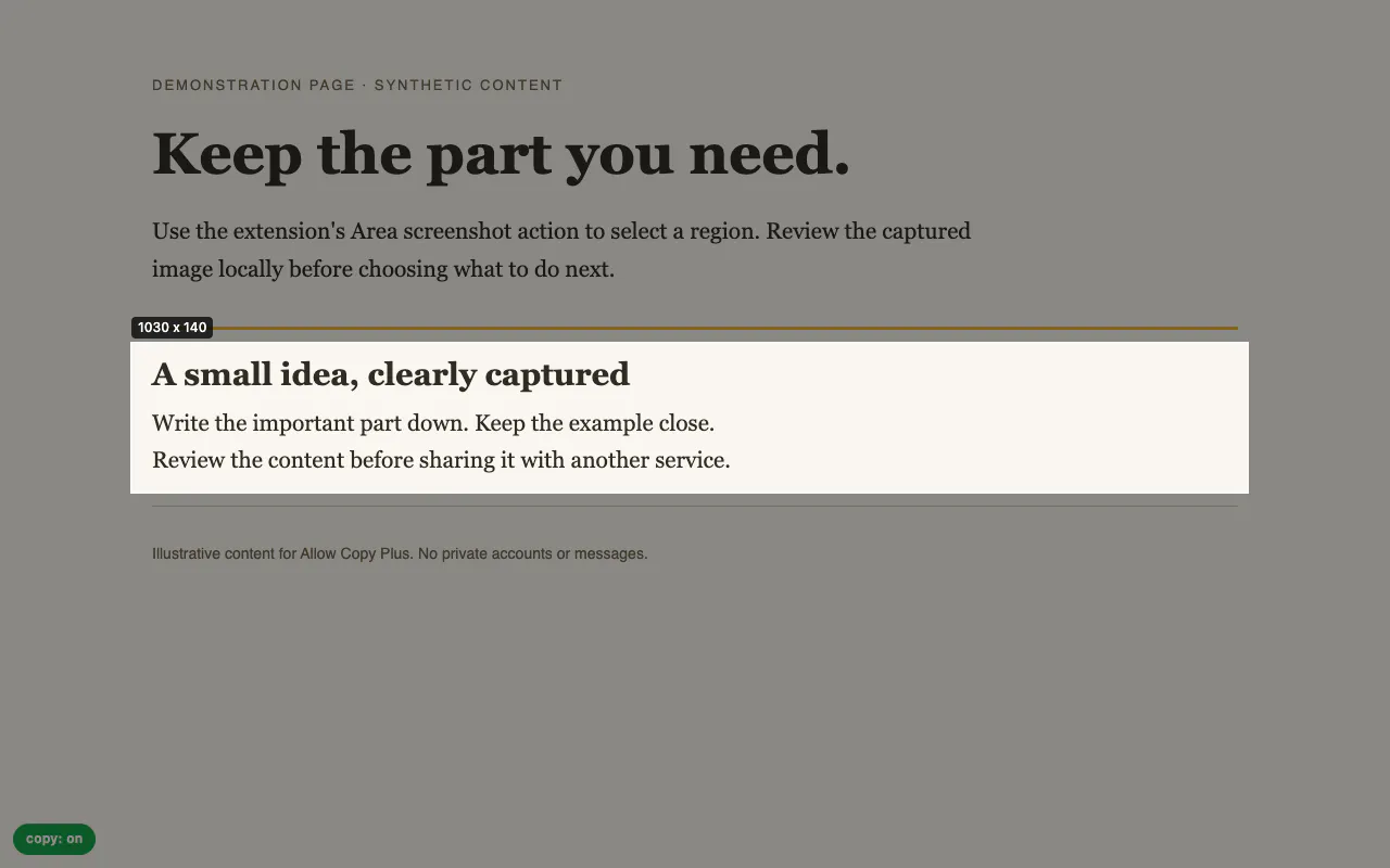 Allow Copy Plus by OrangeBot gallery image