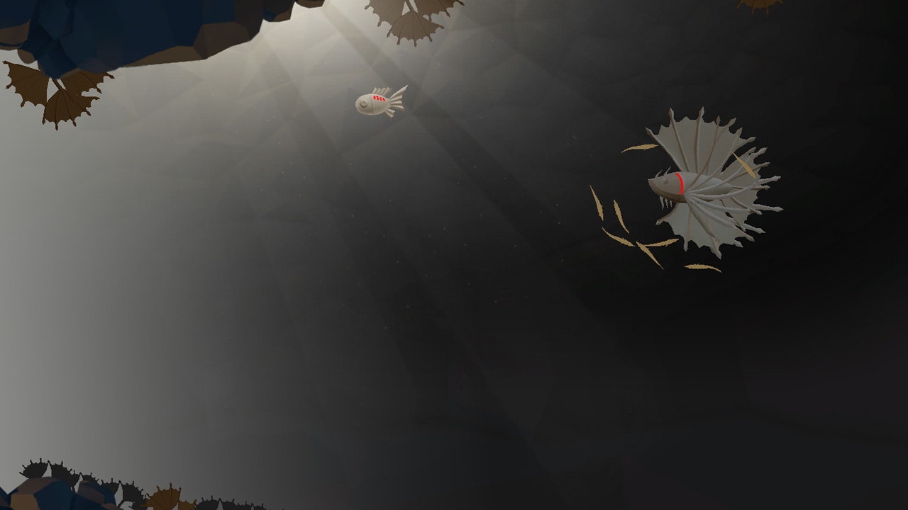 Akuatica gallery image