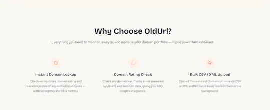 OldUrl - Quality Expired Domain Finder gallery image