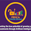FEMCA Financial Services