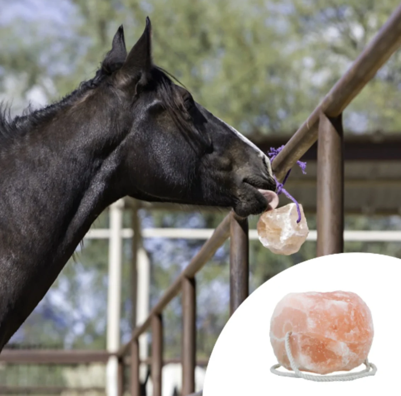Himalayan Licking Salt for Animals gallery image