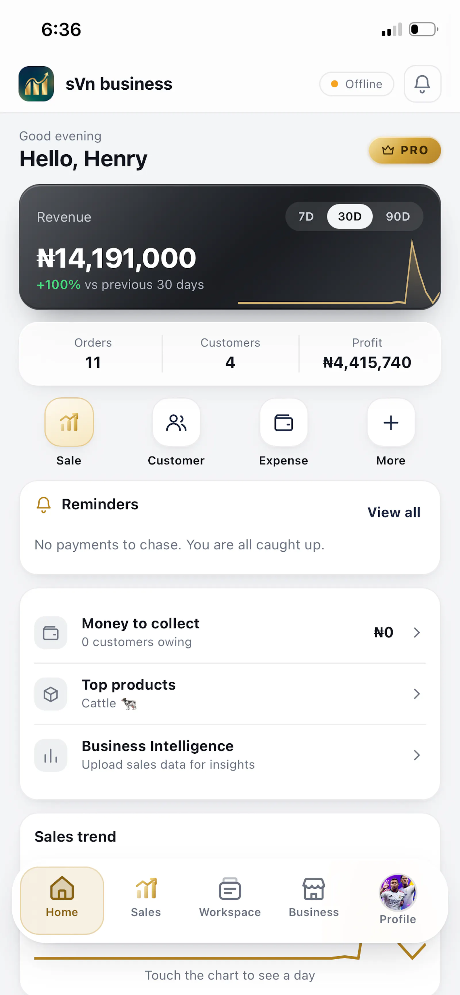 sVn Business screenshot 1