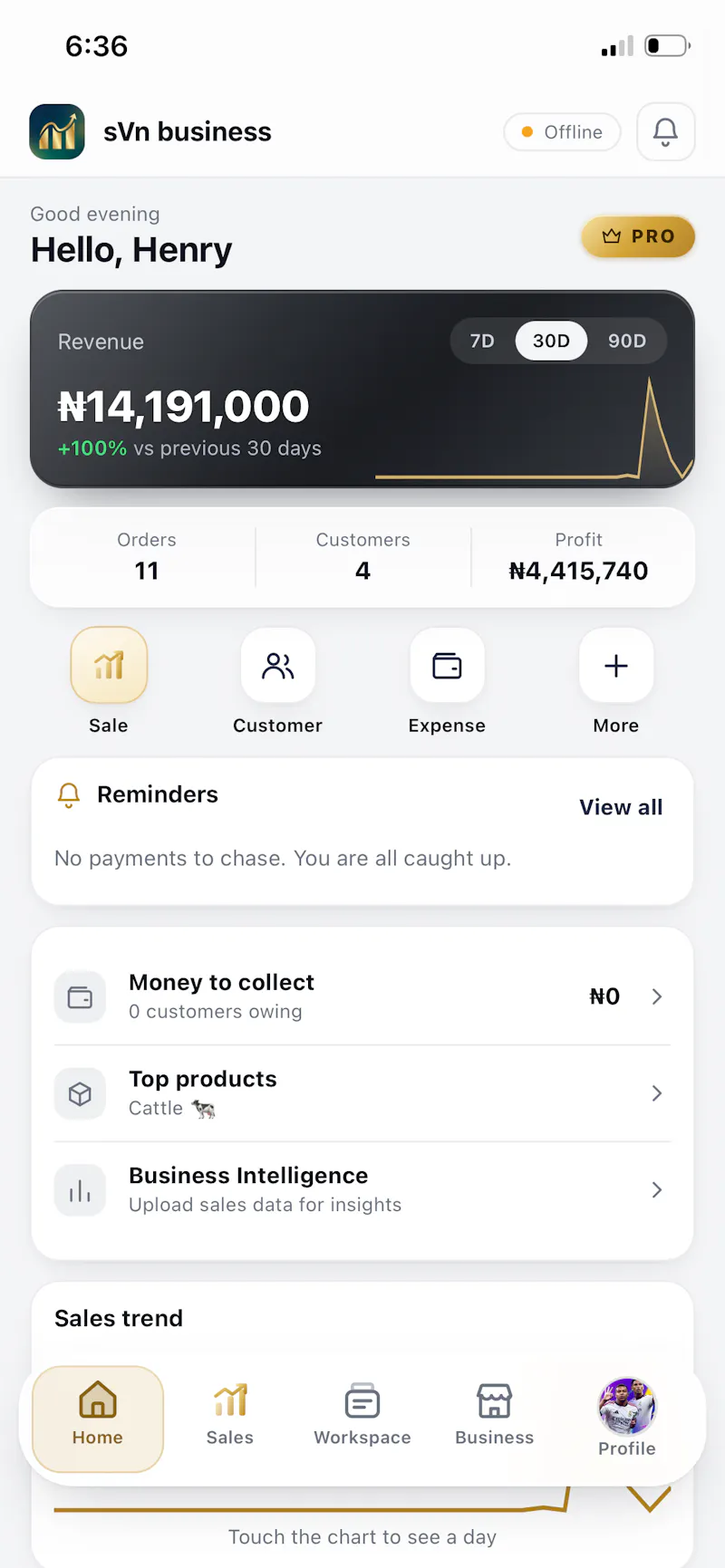 sVn Business screenshot 1
