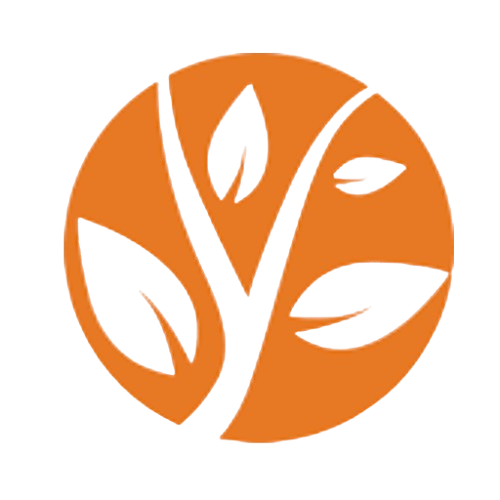 Siteti media 1
