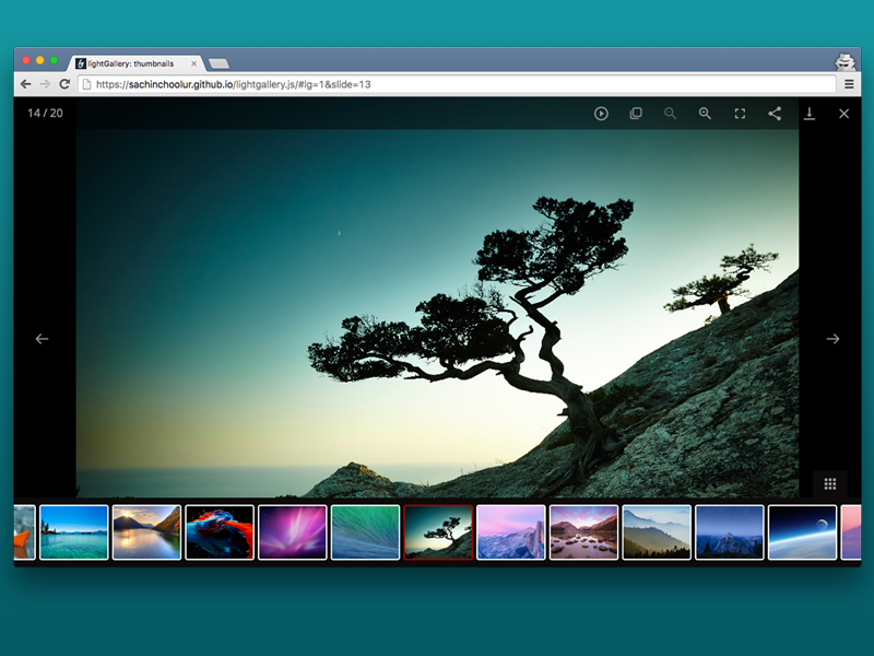 lightGallery WP gallery image