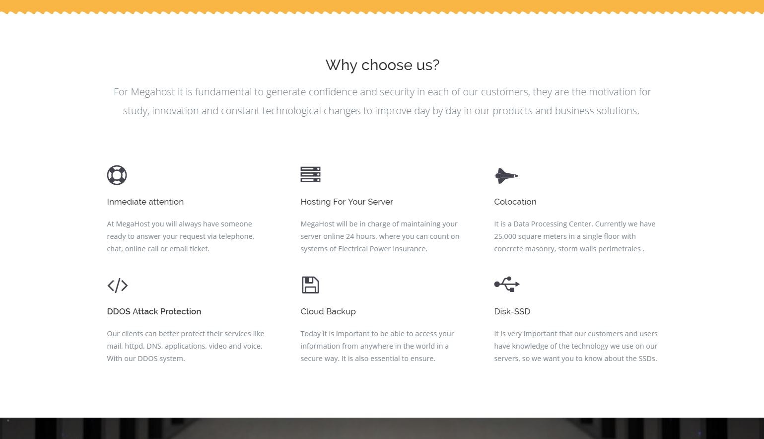 MegaHost gallery image