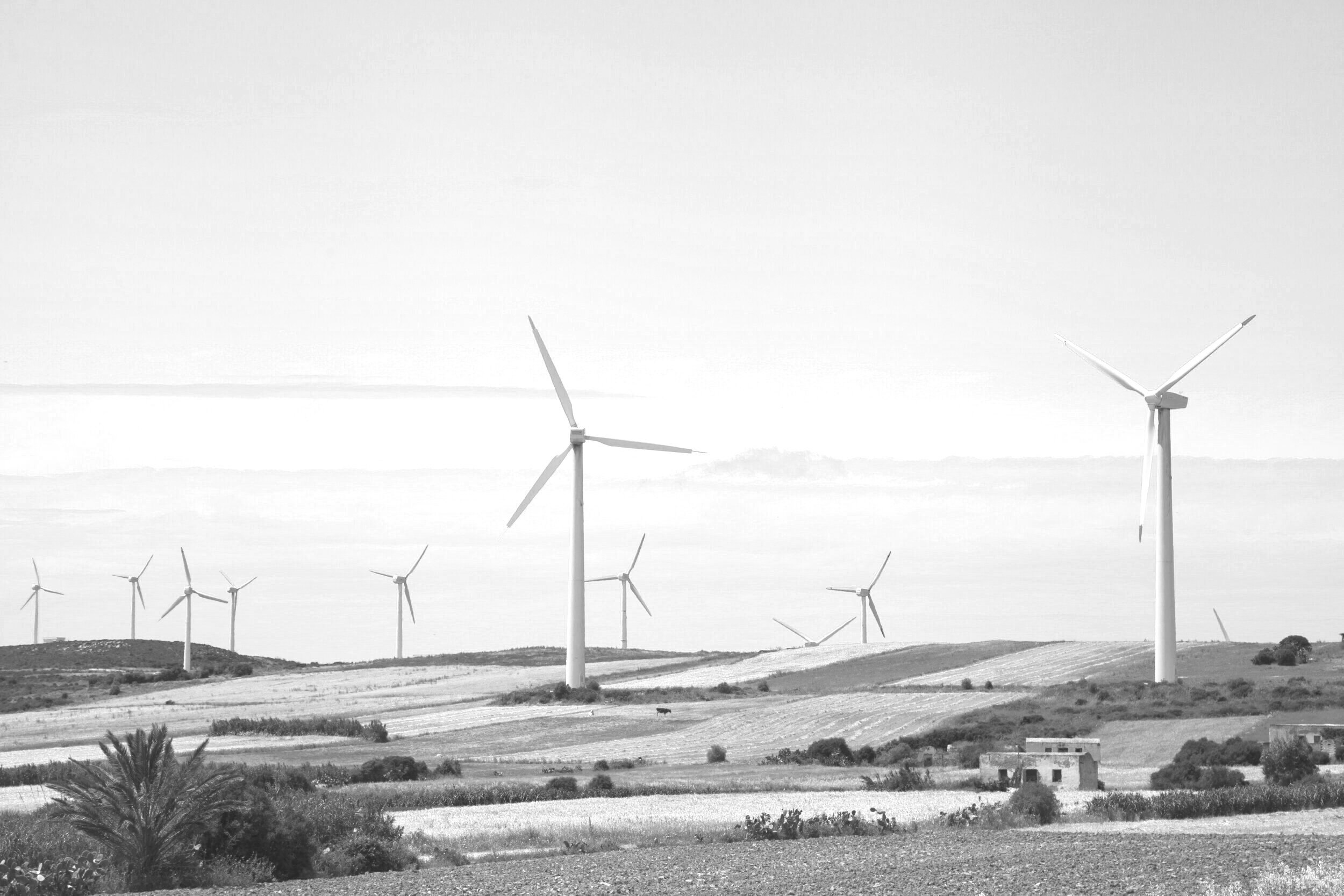 inBalance gallery image